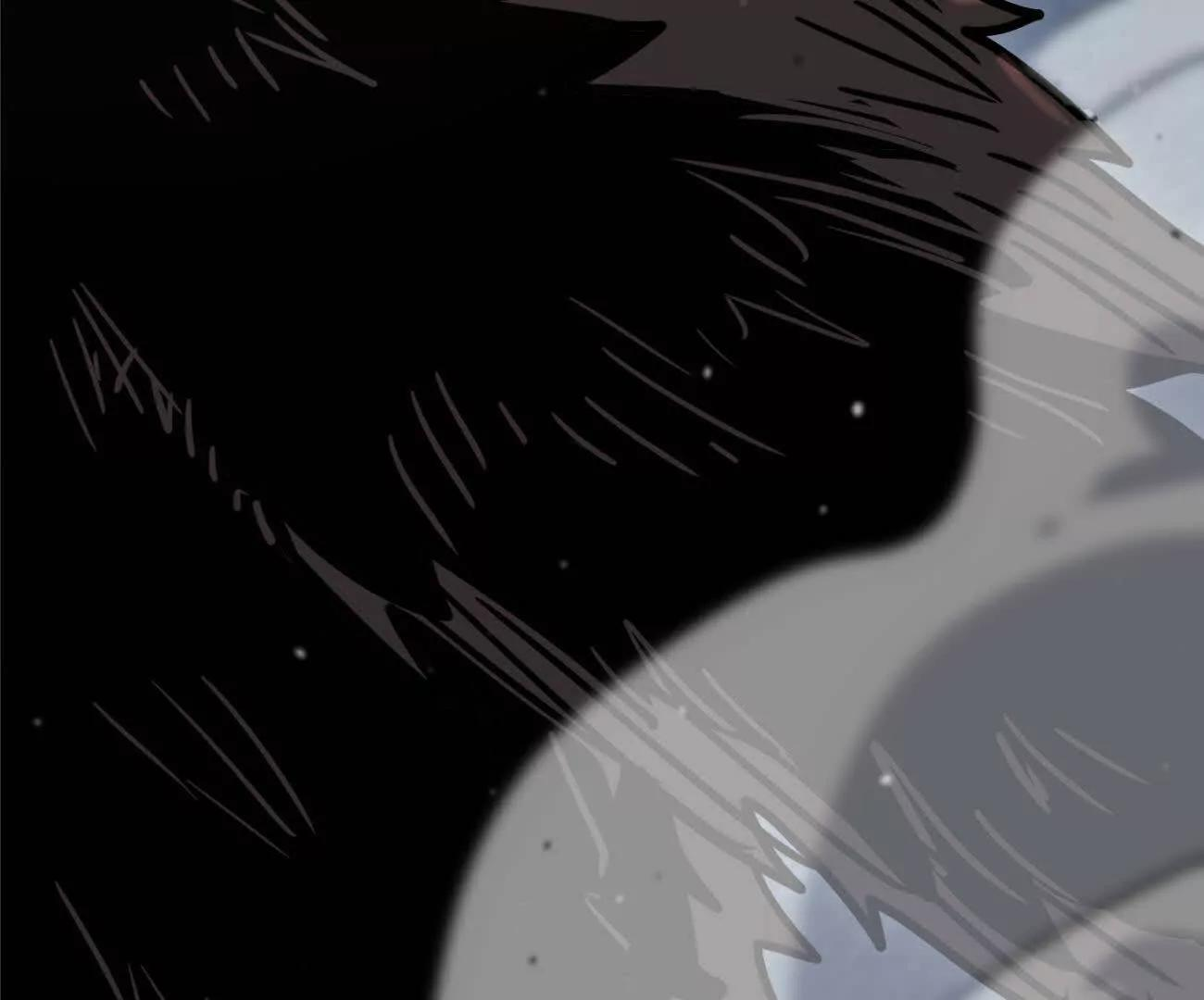 第528页