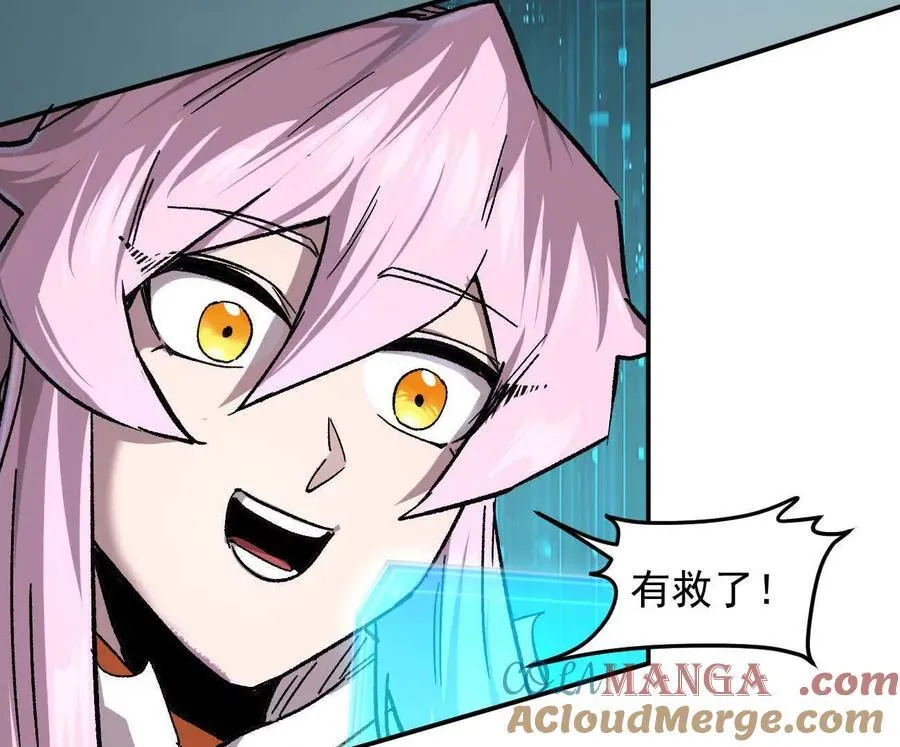 第204页