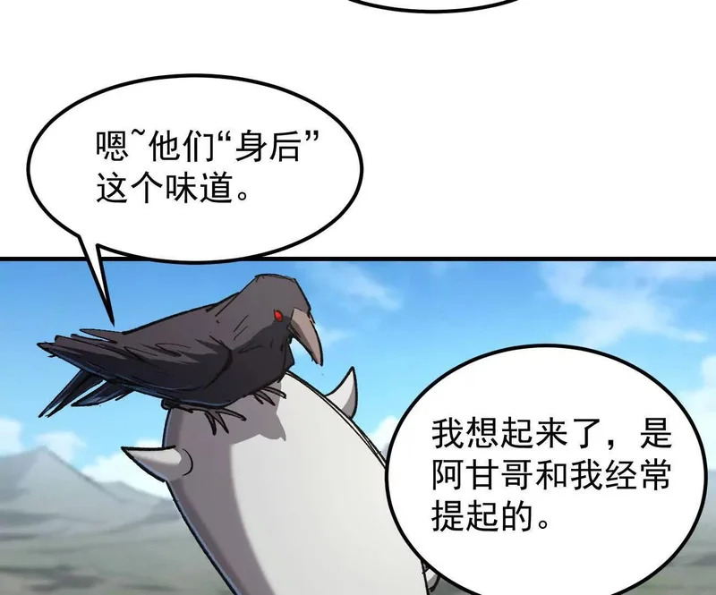 第213页