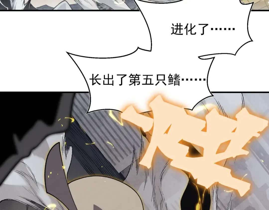 第294页