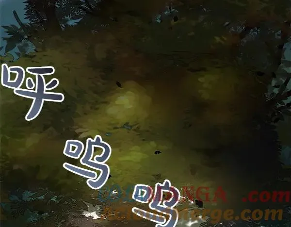 第576页