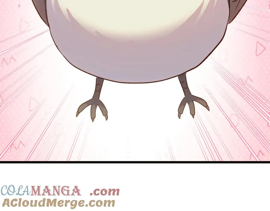 第528页