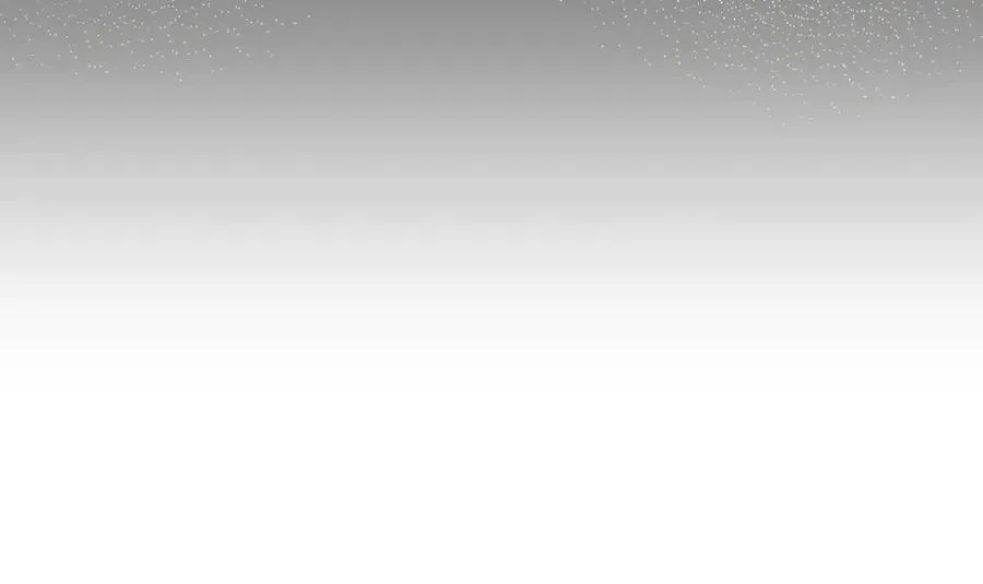 第207页