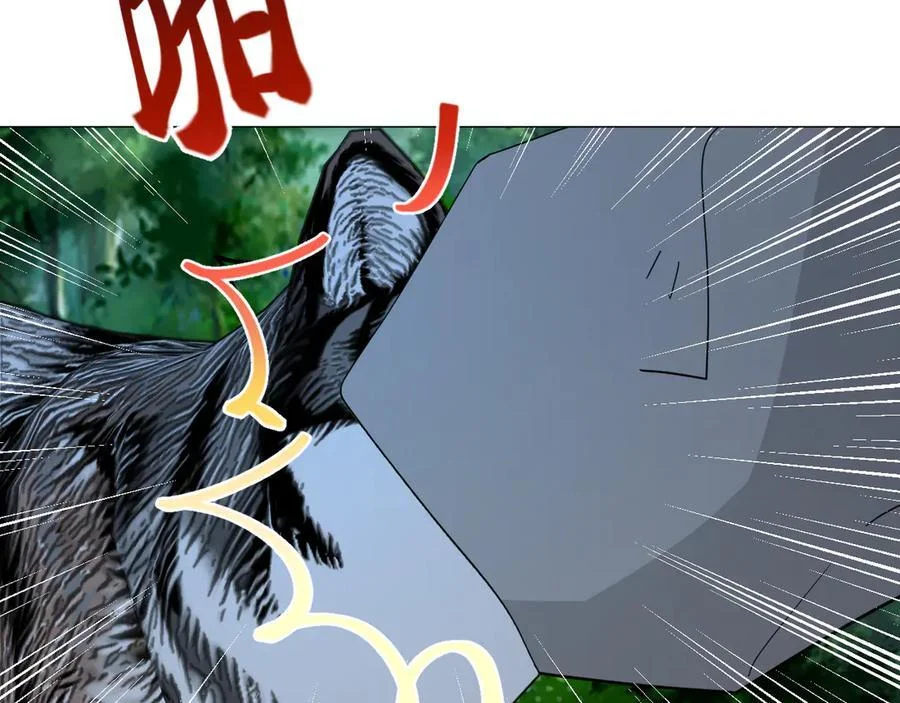 第219页