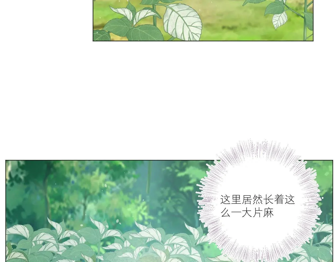 第216页
