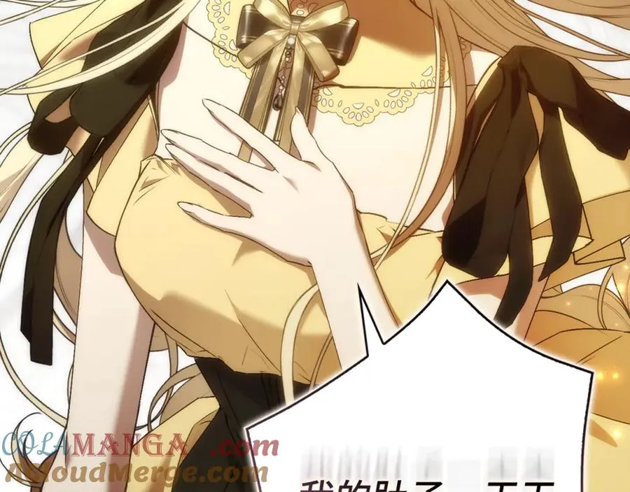 第216页
