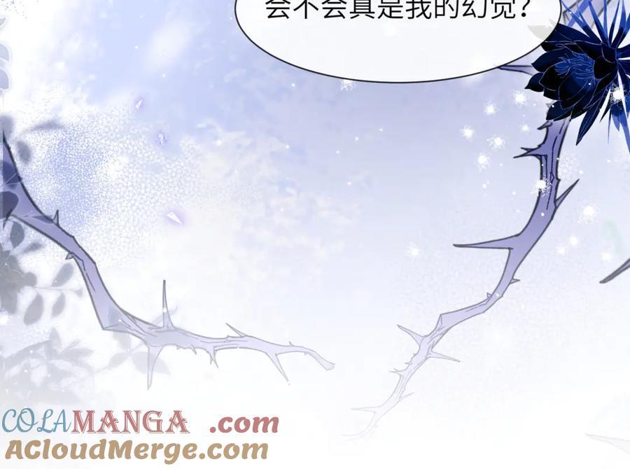第243页