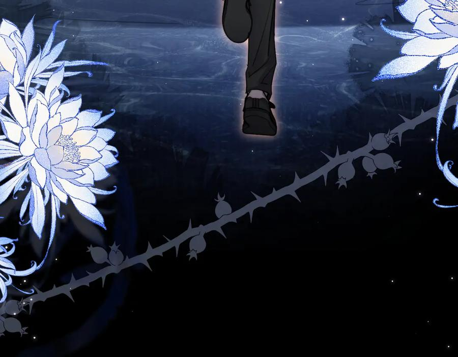 第255页