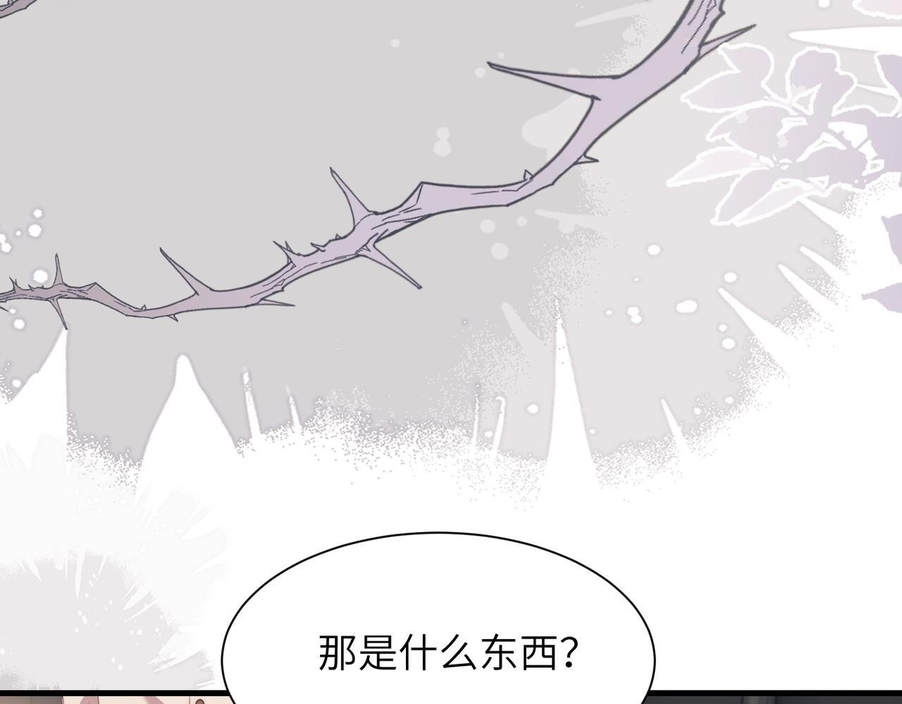 第243页