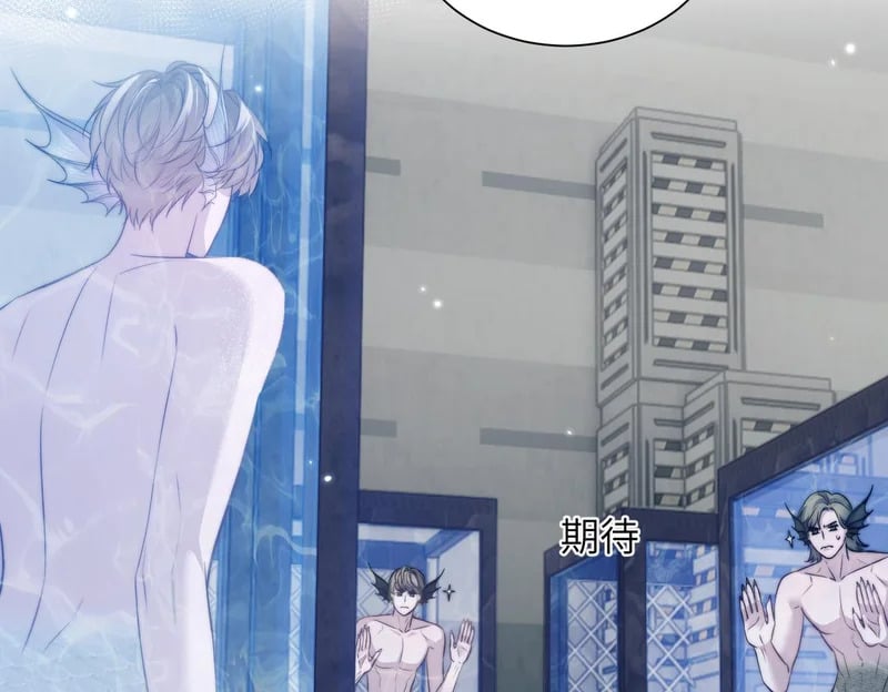 第195页
