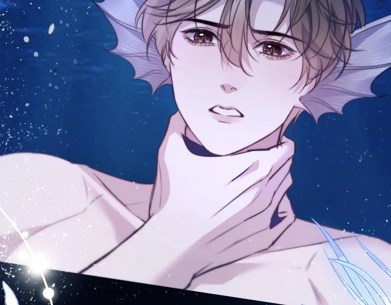 第195页