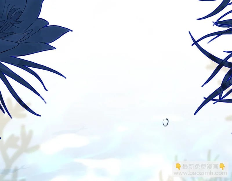 第252页