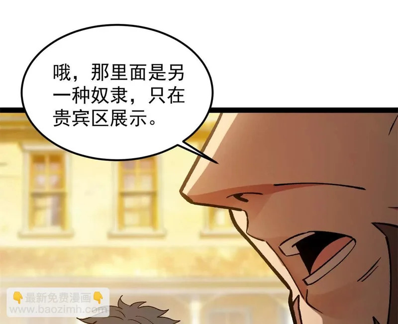 第243页