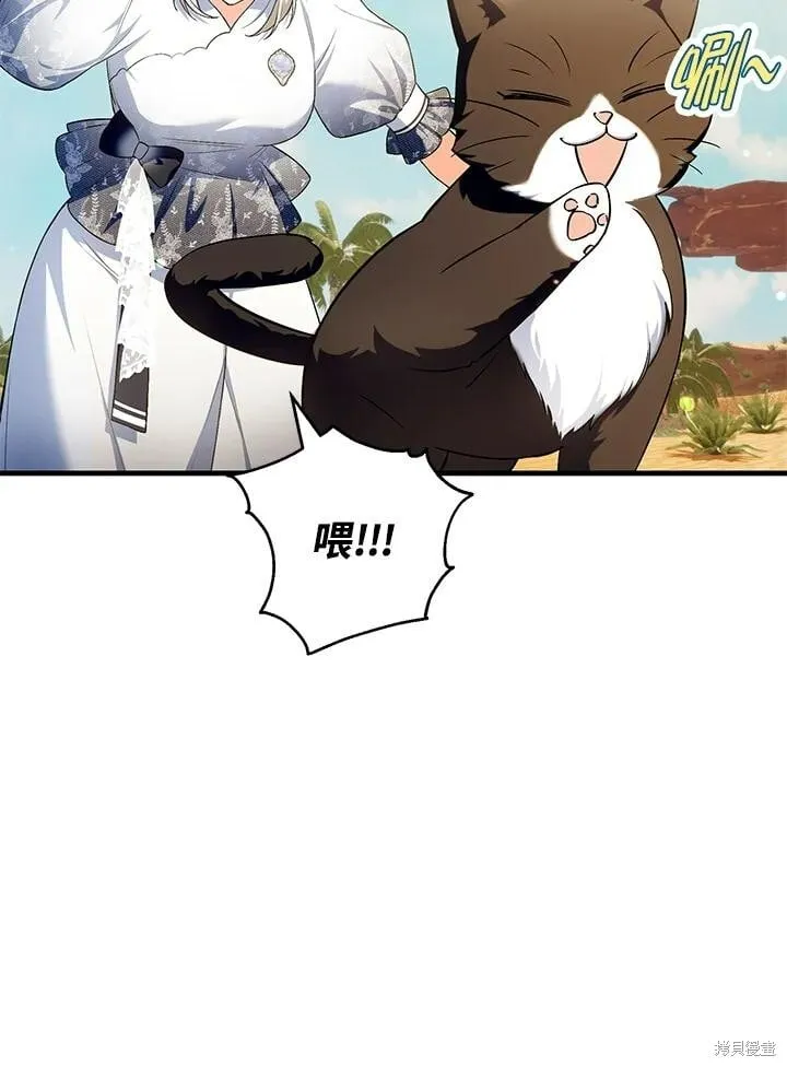 第291页