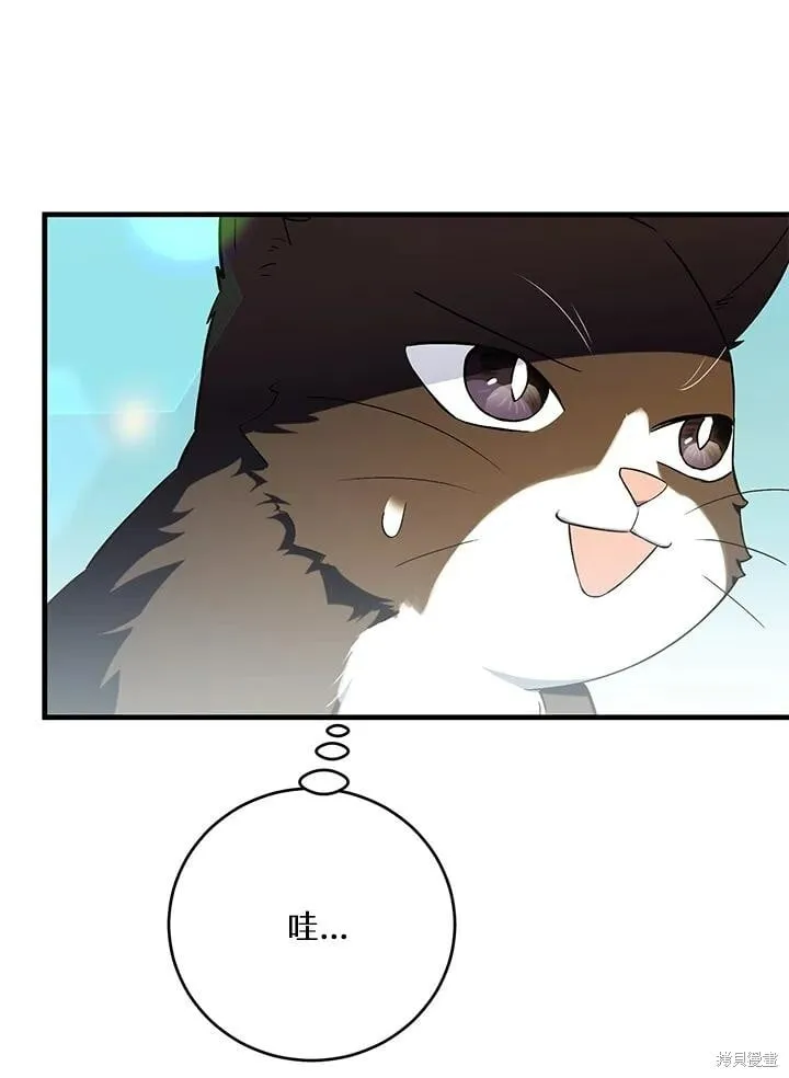 第294页