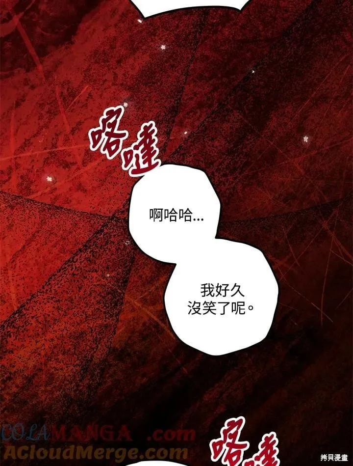 第204页