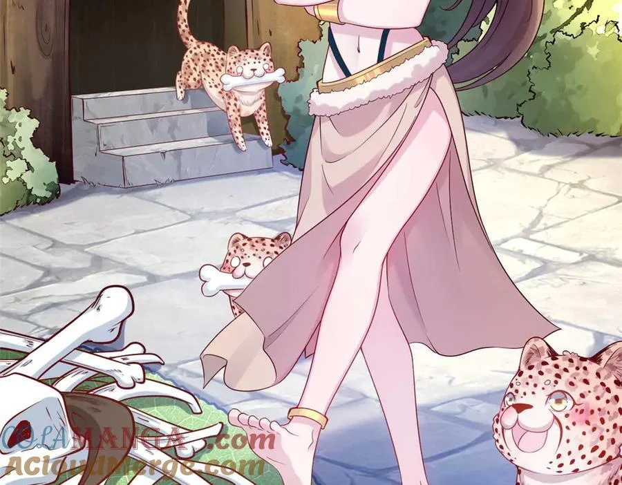 第243页