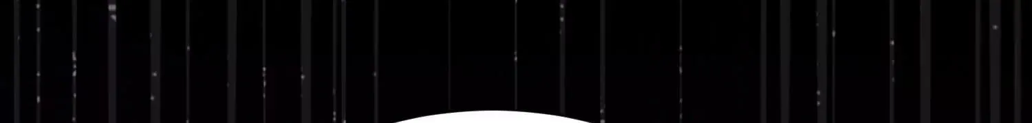 第306页