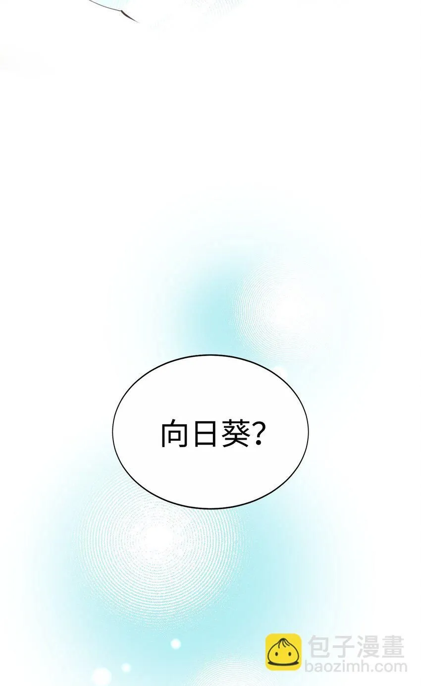 第231页