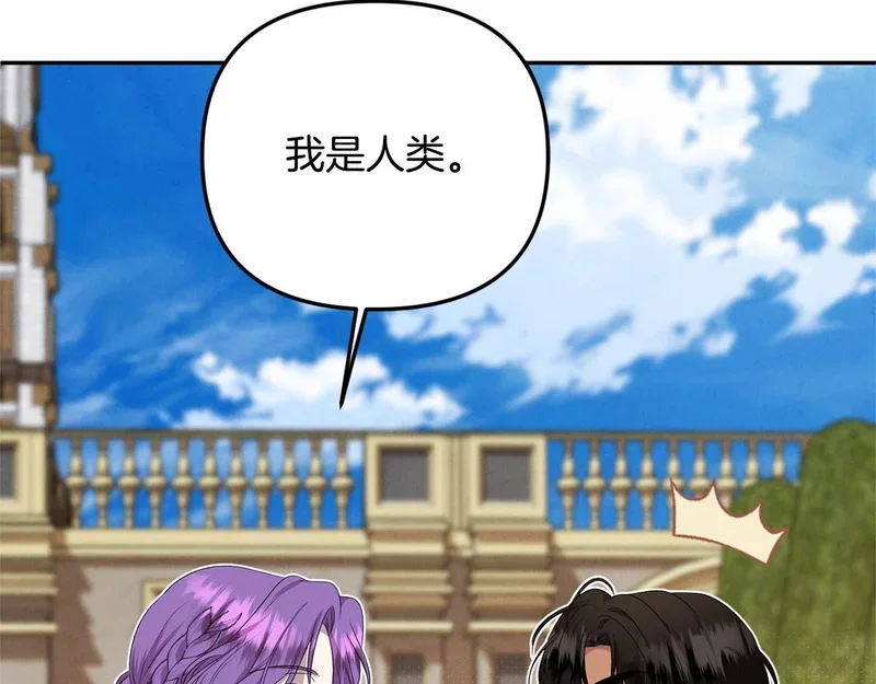 第339页