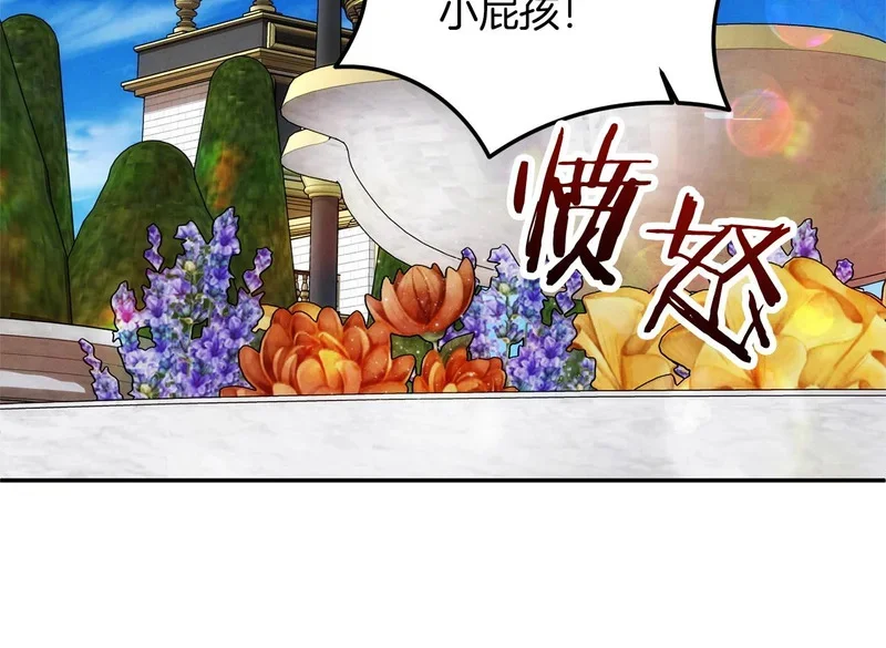 第516页