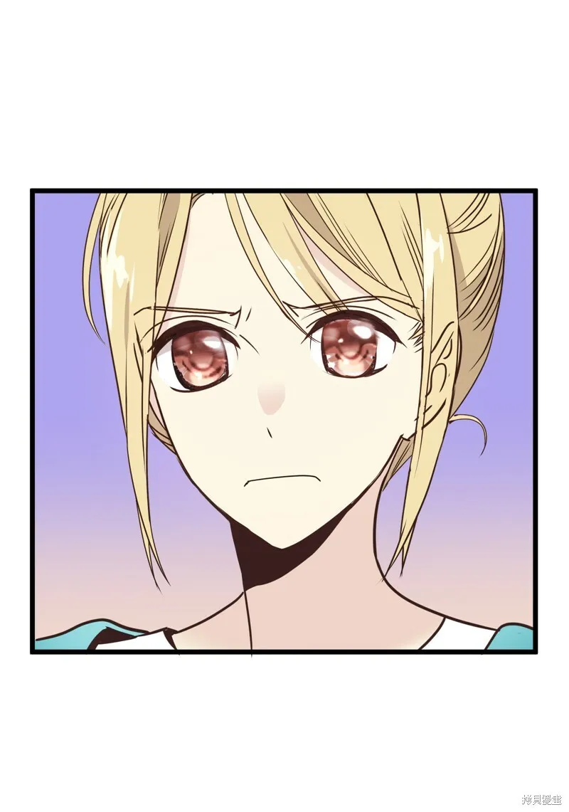 第231页