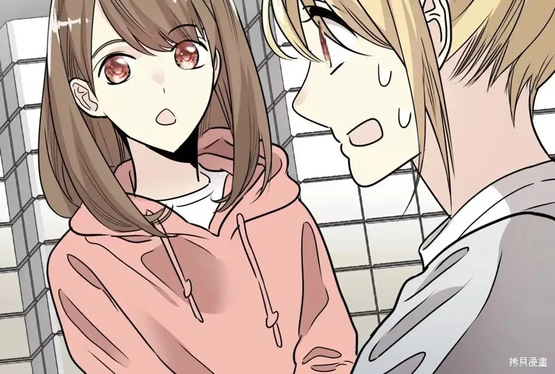 第537页