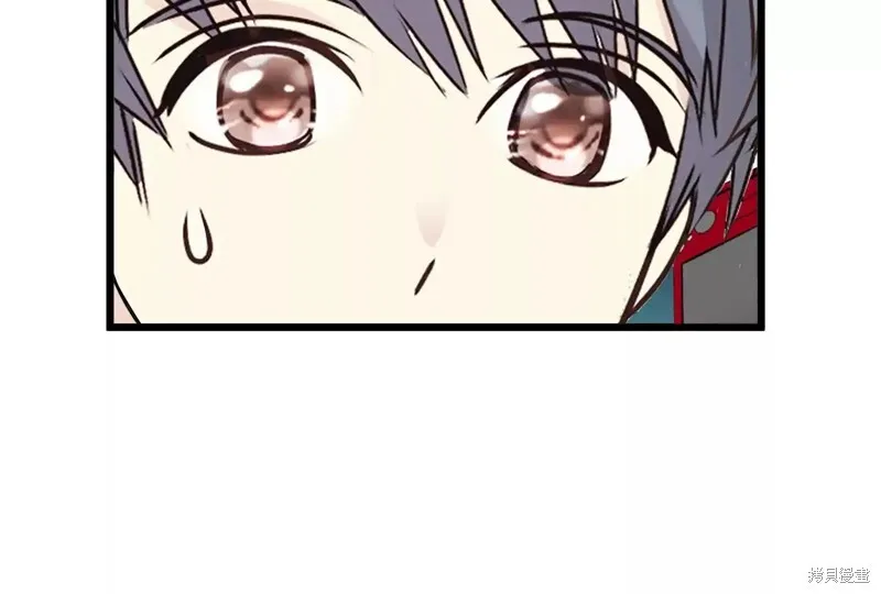 第519页