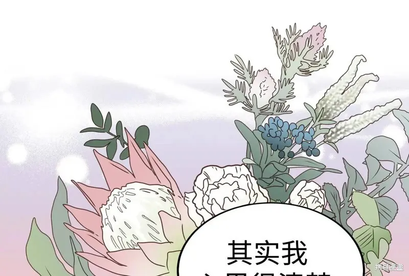 第567页