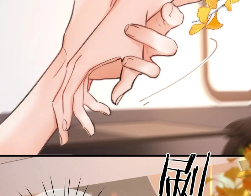 第258页
