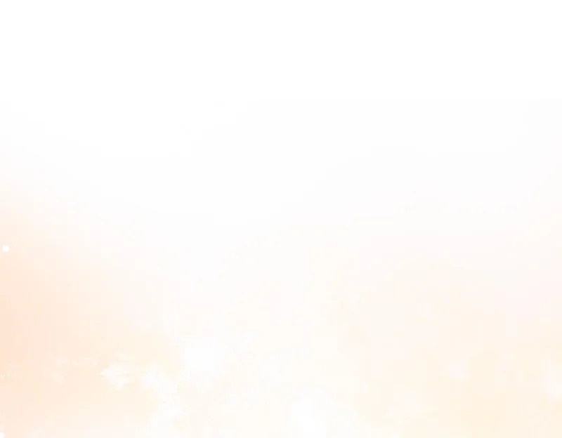 第240页