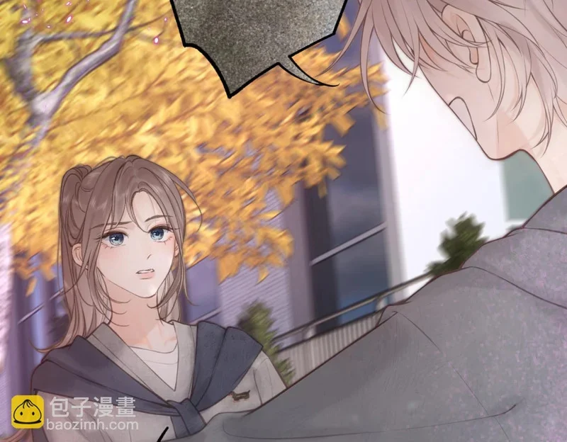 第243页