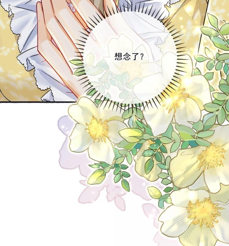 第246页