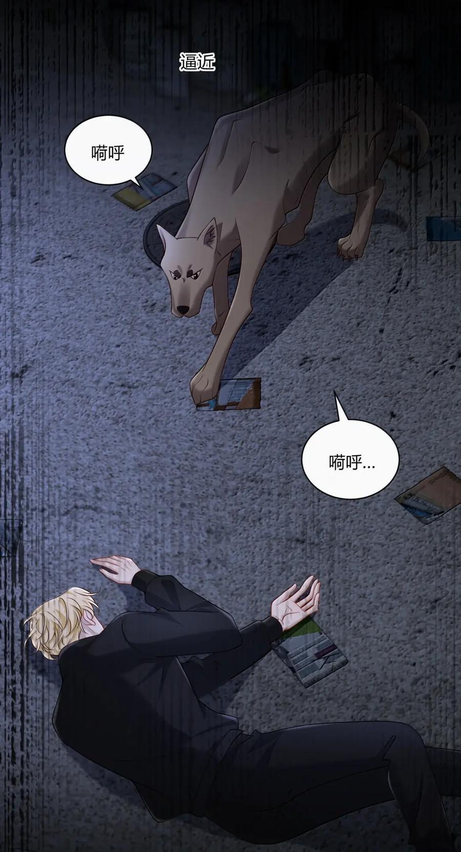 第117页