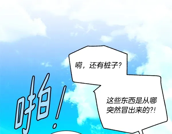第333页