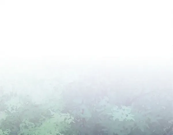 第447页