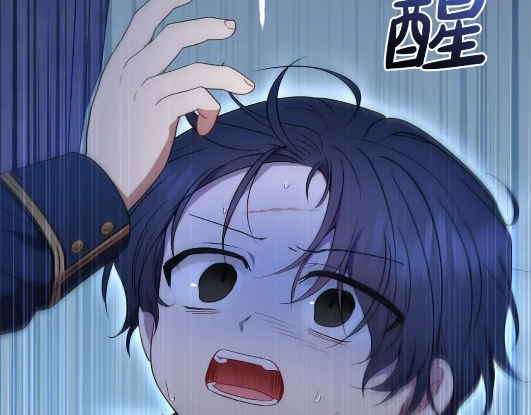 第393页