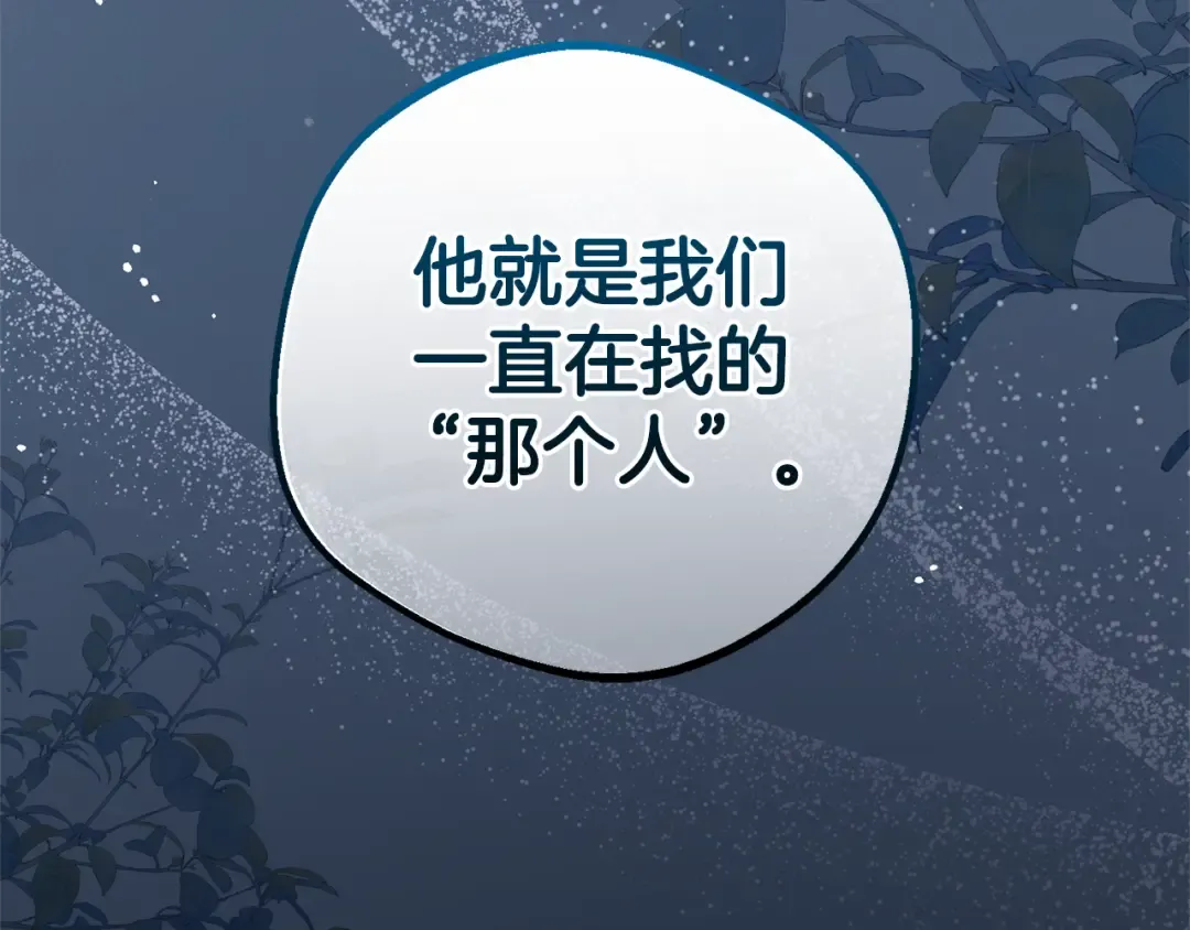 第426页