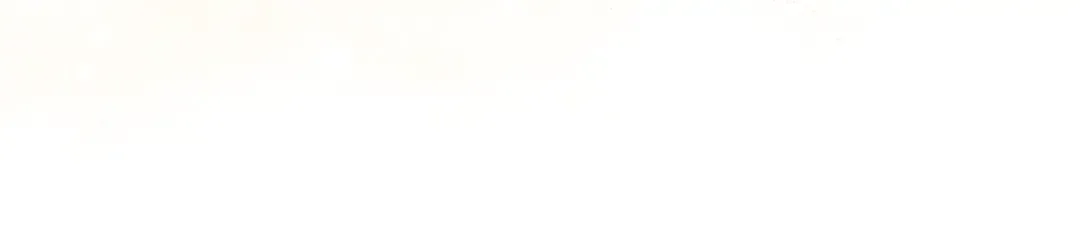 第438页