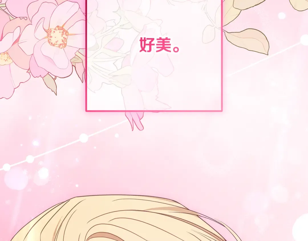 第648页
