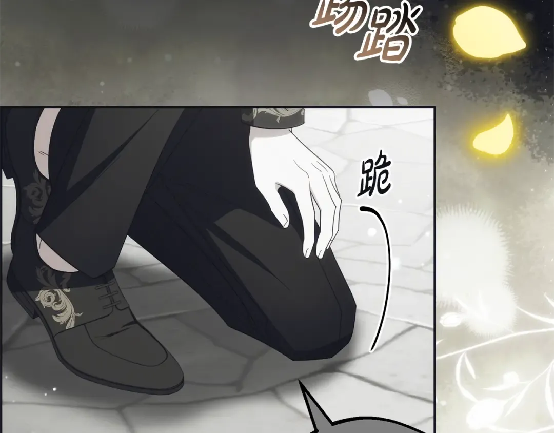 第231页