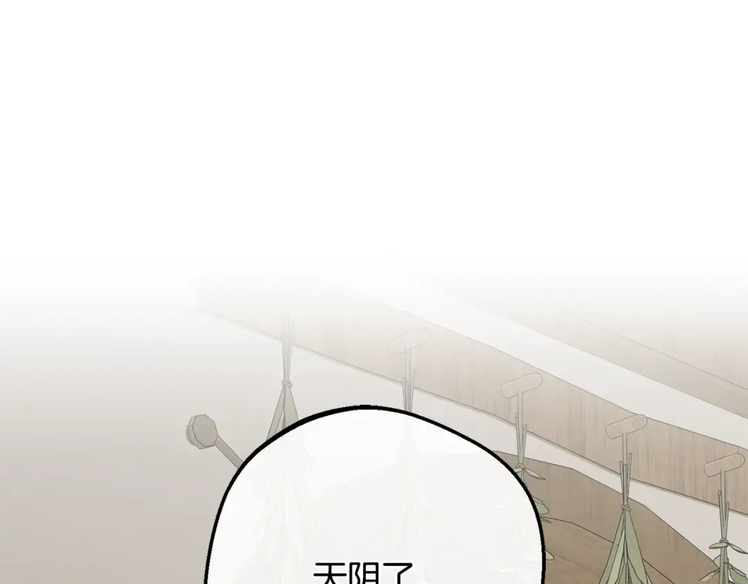 第234页