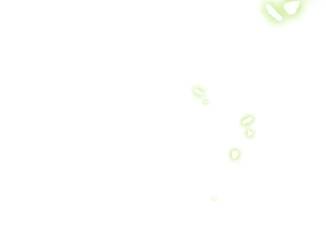 第543页