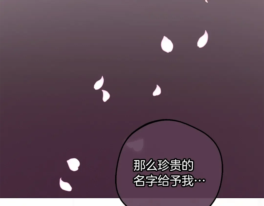 第699页