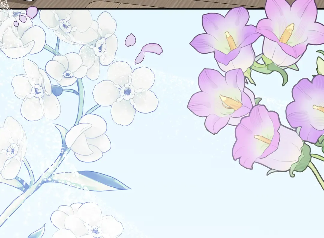 第447页