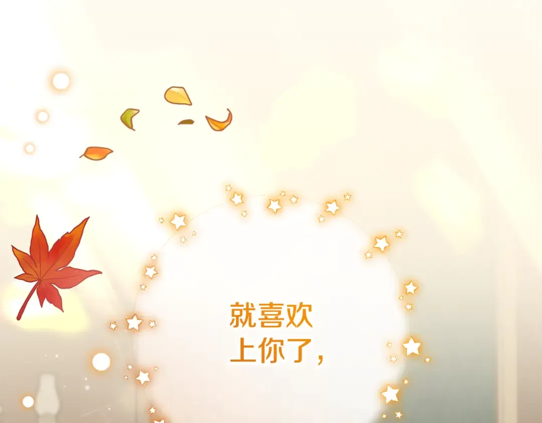 第204页