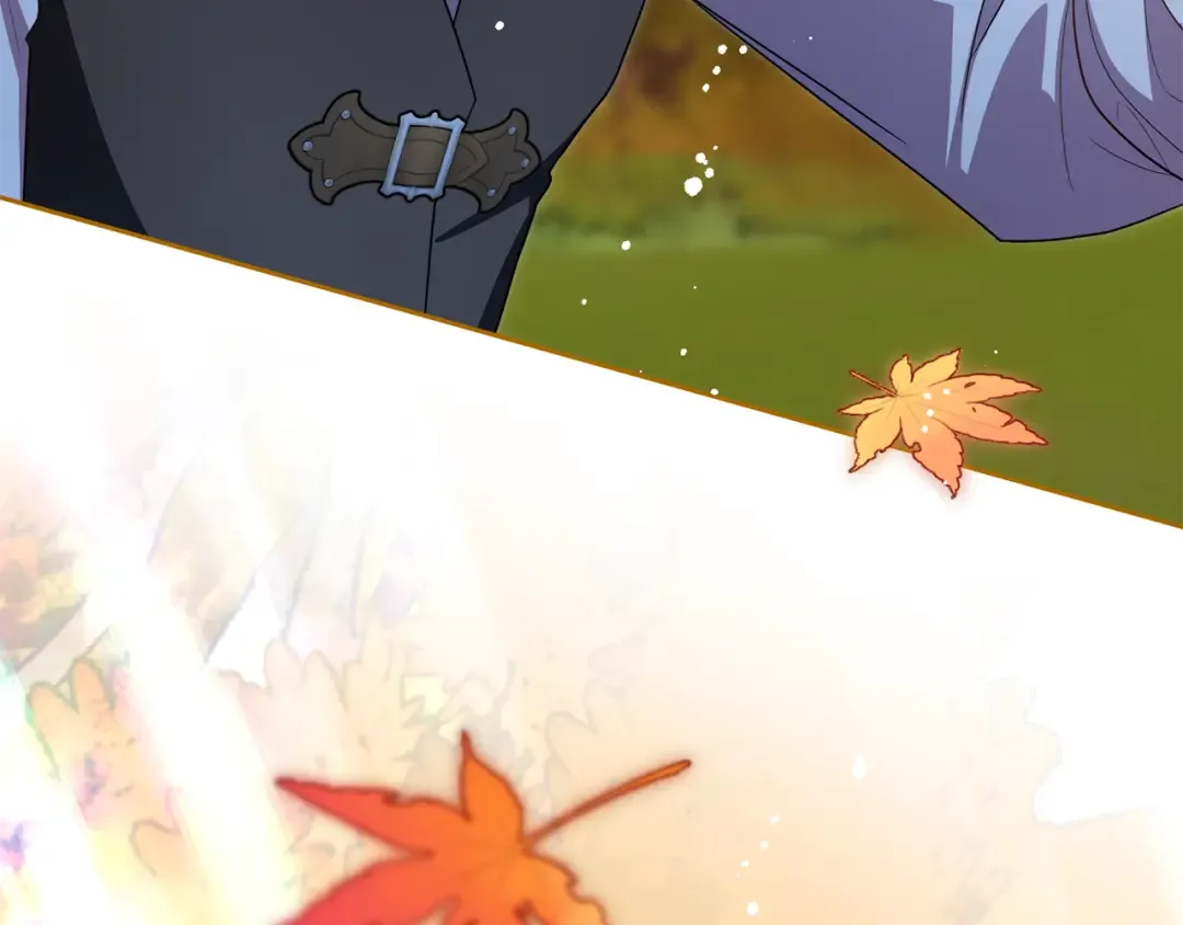 第207页