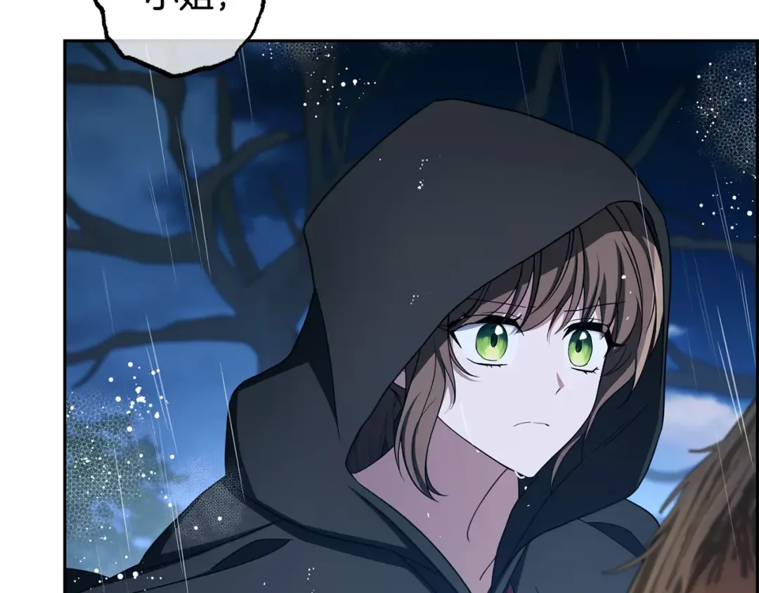 第519页