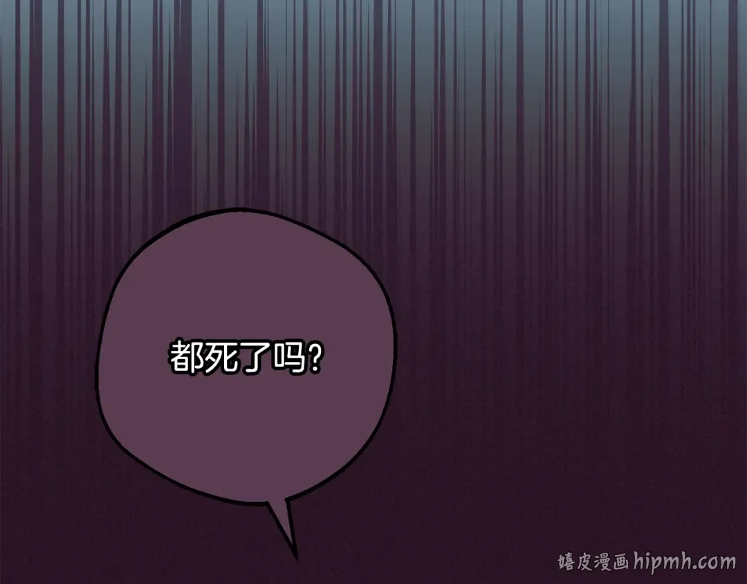 第213页