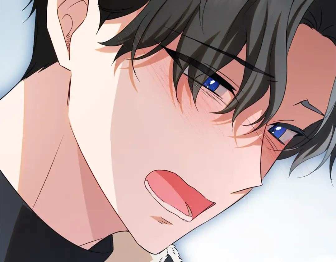 第366页